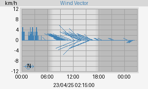 Wind Vector