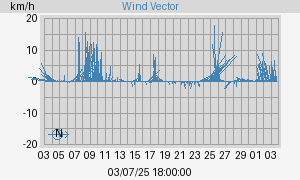 Wind Vector